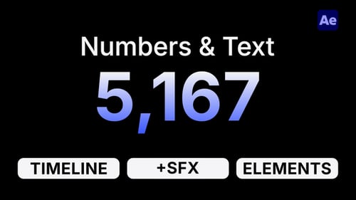 Number Counter & Text Animation
