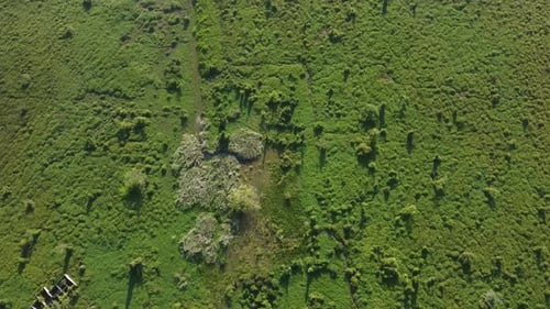 Drone view green grass land
