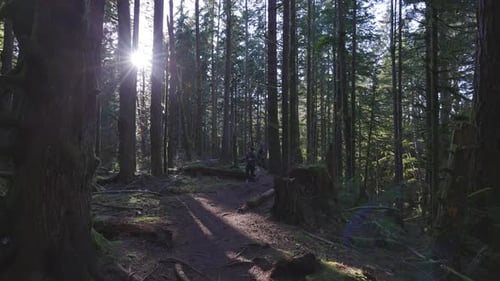 Caucasian Woman Trail Running in the Green Forest