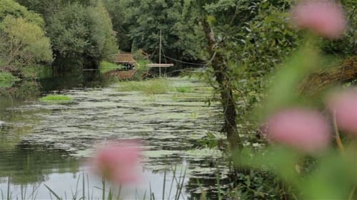 Sumpf im Wald (2 Schüsse)