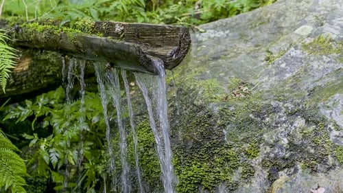 Mountain Spring