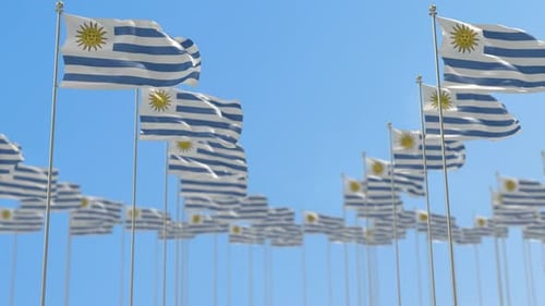 Waving Flags of Uruguay on a Clear Blue Sky