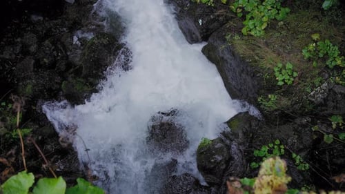 Rushing Waterfall in Forest