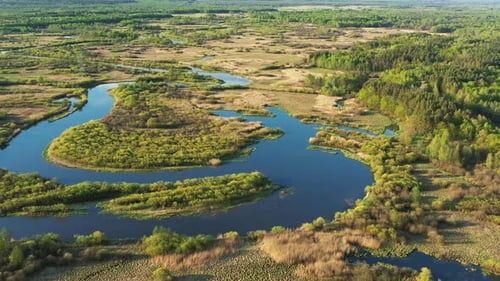 Aerial View Green Meadow And Forest On Coast Of Curved River Landscape In Sunny Summer Day