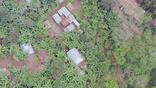 A Drone Flies Over a Village in the Jungle with Streets Houses and Trees