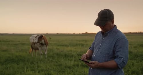 A Middleaged Farmer Works in a Pasture Uses a Tablet