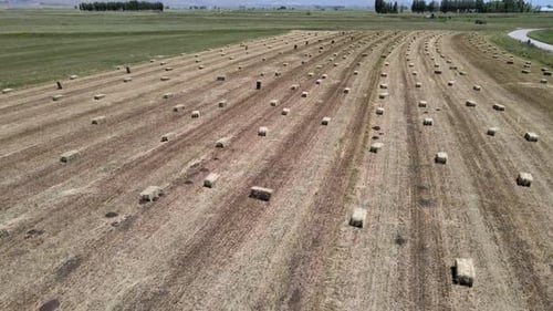 Aerial View of Straw Bales
