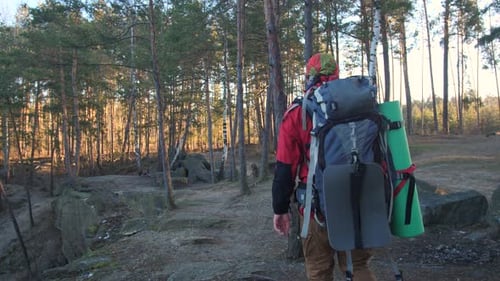 Back View of Hiking Man with Travel Backpack