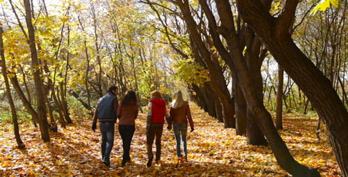 Autumn Park Leisure