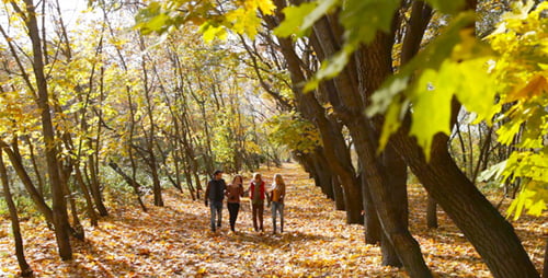 Autumn Togetherness