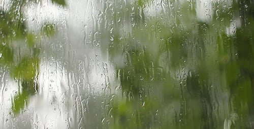 Pluie sur vitre