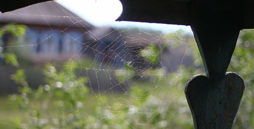 Spider Web Country House 2