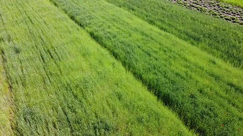 Drohnenaufnahme eines Fluges über die ländliche Agrarlandschaft.