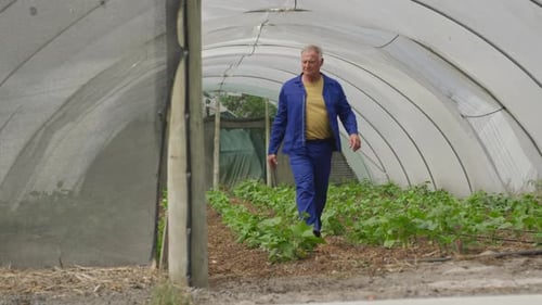 Mature man working on farm
