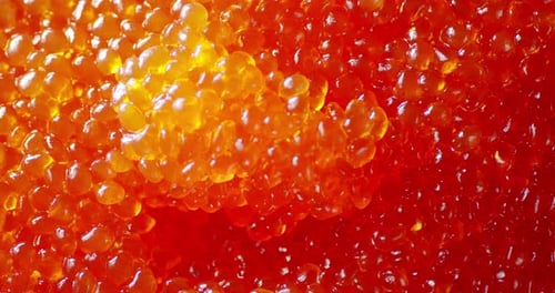 Fresh Red Caviar Stirred with a Spoon.