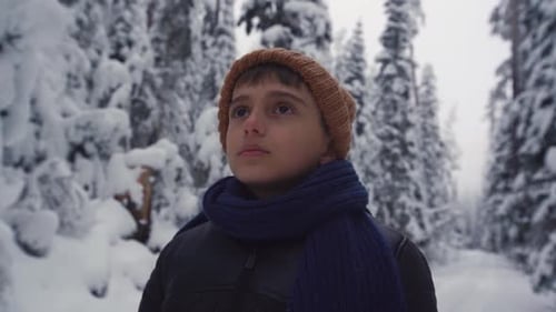 Boy In Winter Forest Looks Upward