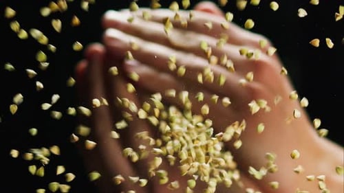 Closeup of Falling Down Green Buckwheat From the Hands on Glass Table on Black Background