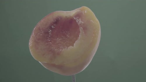 Peach Rotating with Loop on Green Screen for Chroma Key