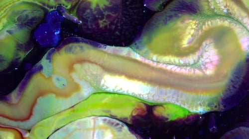 Abstract Colorful Invert Sacral Paint Exploding Texture 365