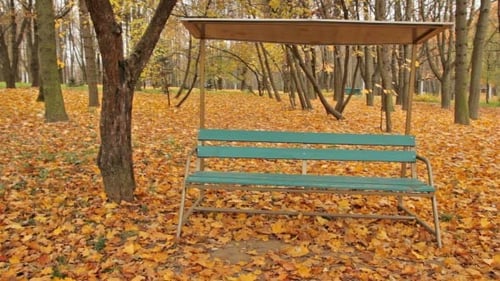 Empty Bench in a Beautiful Autumn Park