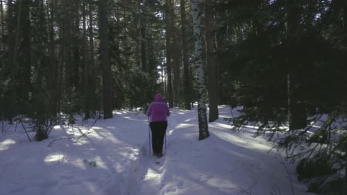 Woman Walking in Winter Forest