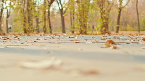 Woman's Legs Walking in Autumn Park