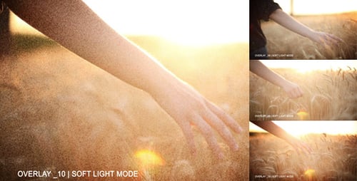 Paquete de superposición Alpha Matte