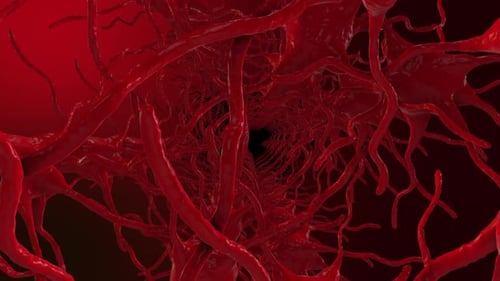 Voler dans la boucle du système nerveux