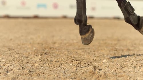 Horse legs in the sand, Ultra Slow Motion