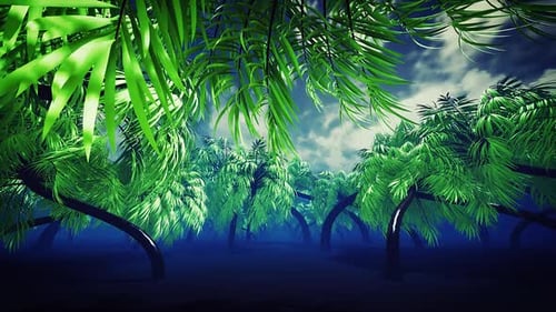 Bosque de palmeras