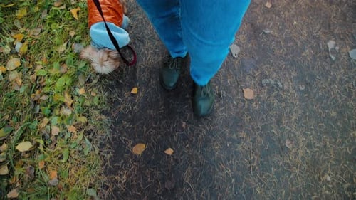 Woman with Dog on Forest Path