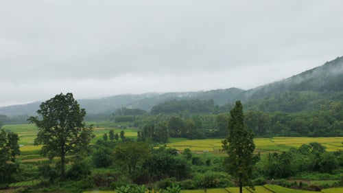 Misty Mountain Time Lapse