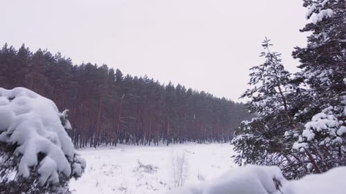 Luftaufnahme des Wintererholungsparks
