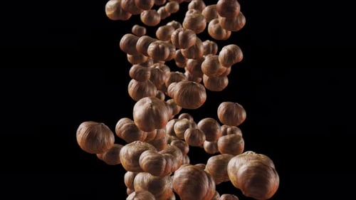 Falling Hazelnuts on a Black Background