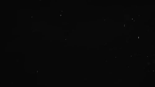 Dust Particle