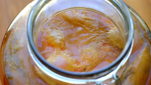 SCOBY Spinning dans du kombucha brassé et fermenté, boisson probiotique