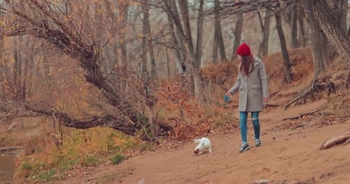 Walk Along the Riverbank with a Dog