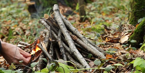 Bonfire Burns Brightly in the Peaceful Forest