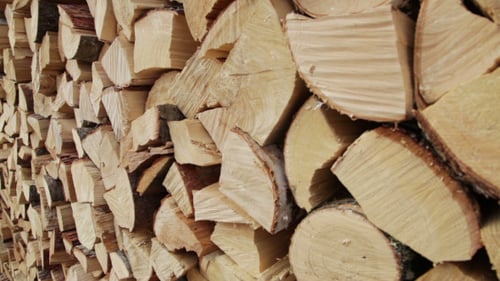 Brennholz zum kalten Winter (3 Schüsse)