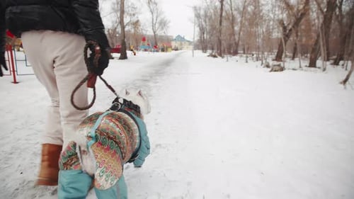 Woman Walks on Playground in Winter with Dog on Leash Back View