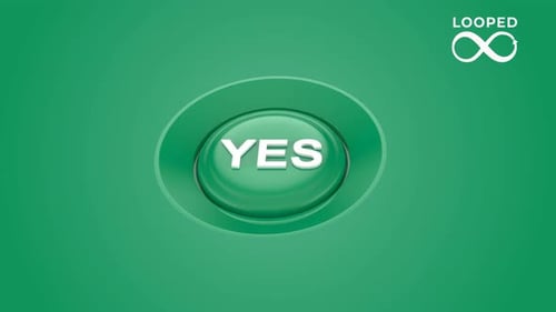 Animated 3D Yes No Buttons for Interactive Decisions