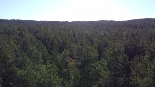 Vue aérienne du sommet au début de la forêt