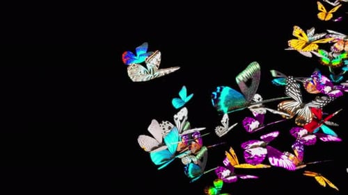 Vibrant Butterflies Flying Seamless Loop Animated Background