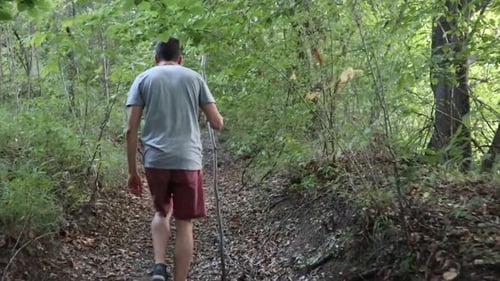 Ein Mann geht tagsüber und in der Sommersaison auf einem Fußweg im Wald. Junger Mann beim Wal von hinten gefilmt
