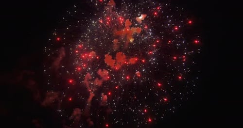 Firework