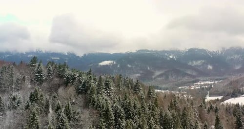 Aerial View of Forest Covered with Snow in Mountains