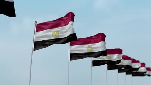 Waving Egyptian Flags in a Row on Clear Sky