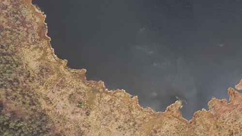 AERIAL: Top Down View of Pond in Marsh with Rippling Water on the Lake Surface