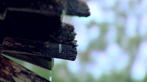 Techo de madera desgastado en una casa rural durante un día lluvioso.