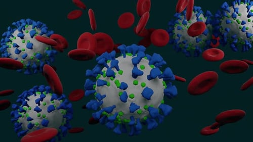 Animated Coronavirus and Red Blood Cells in Bloodstream
